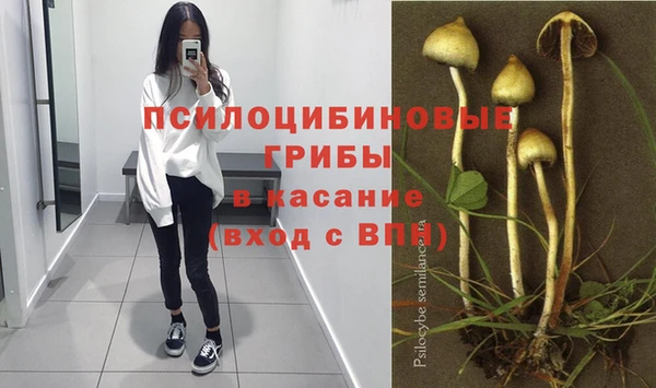 spice Надым