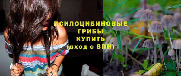 spice Надым