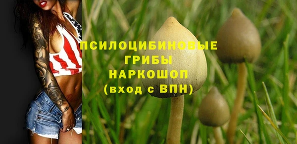 гидра Нея