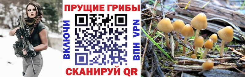 Псилоцибиновые грибы мухоморы  Купить закладки  Ковдор 